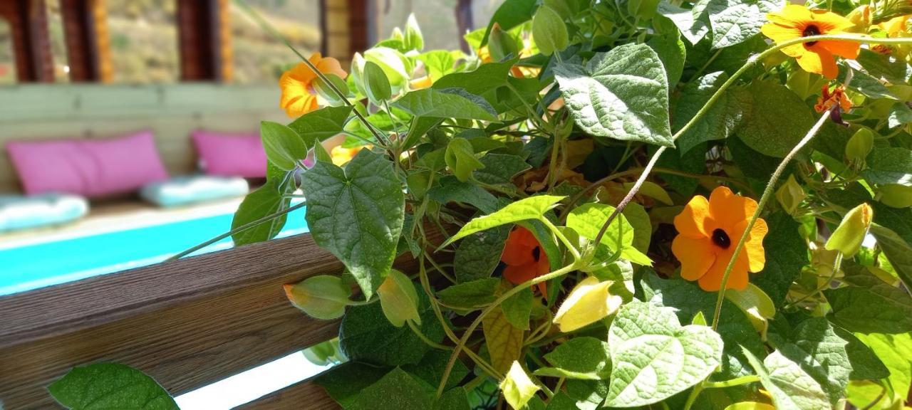 Finca Mariposa Mariposaholidays Нерха Екстер'єр фото