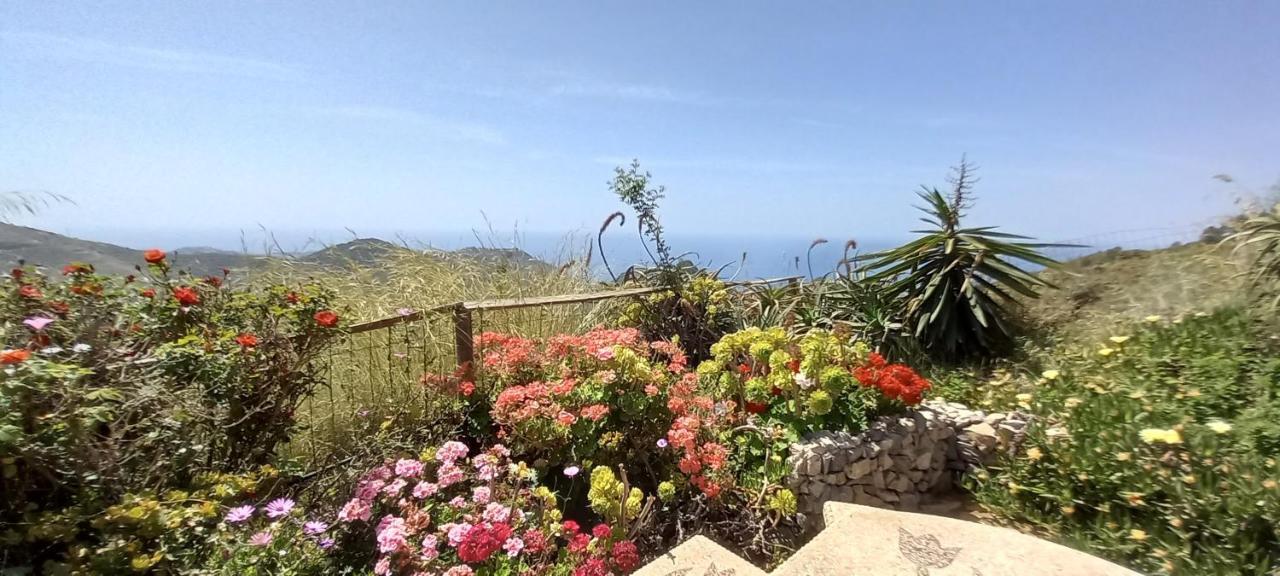 Finca Mariposa Mariposaholidays Нерха Екстер'єр фото