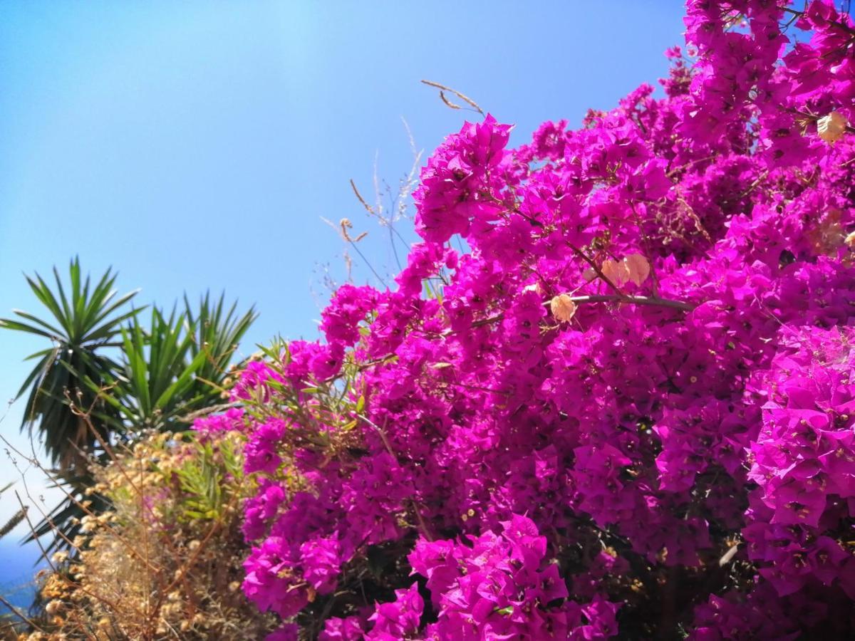 Finca Mariposa Mariposaholidays Нерха Екстер'єр фото